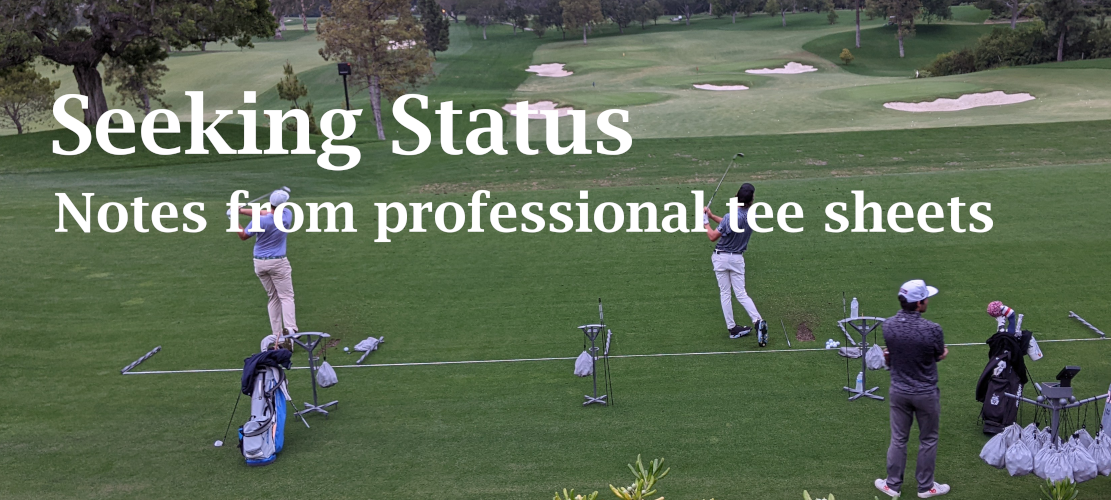 Seeking Status: New faces playing in New Places on the Ladder of Professional Golf